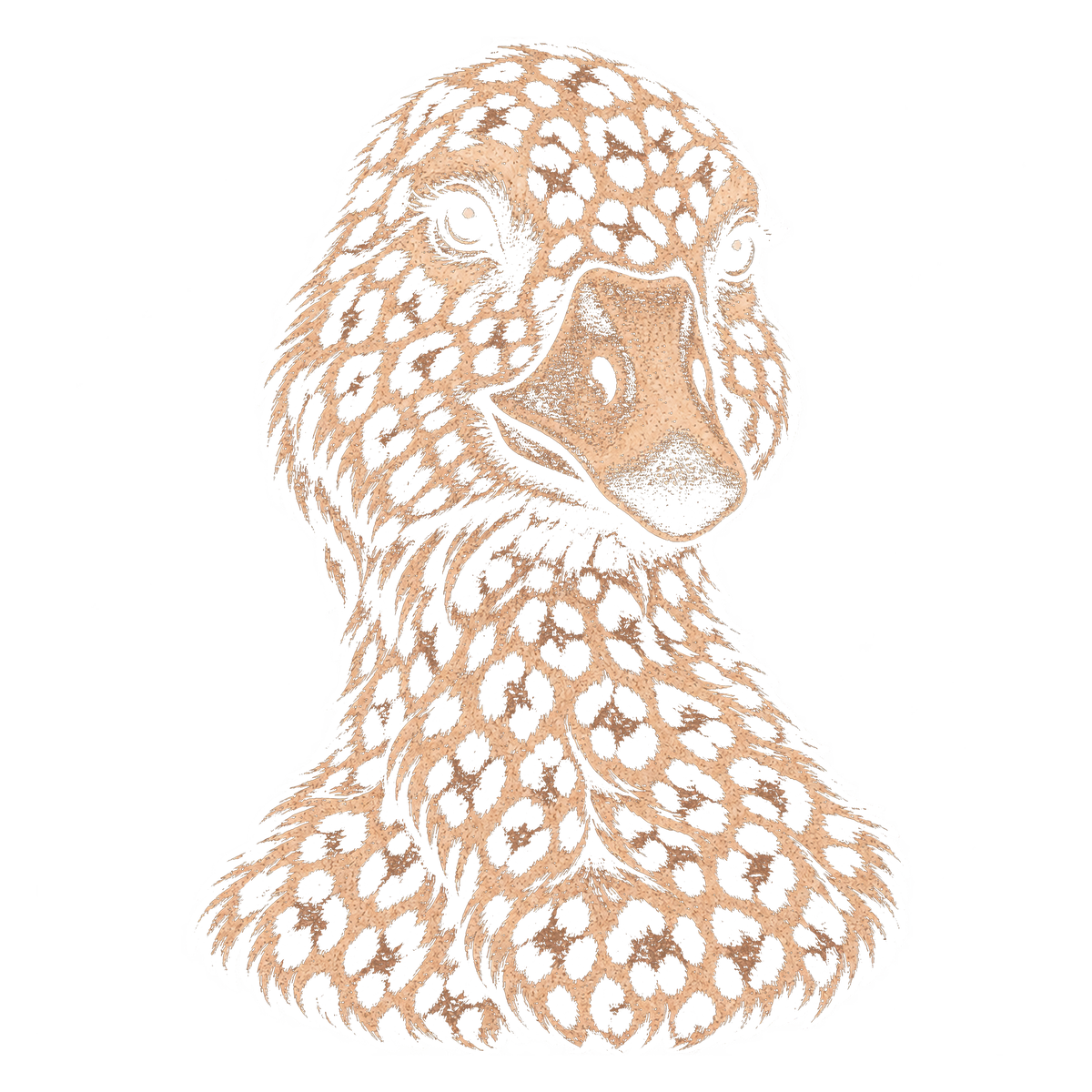 Leopard Duck Portrait Print